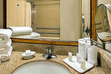 2 Room Suite - 1 King Bed