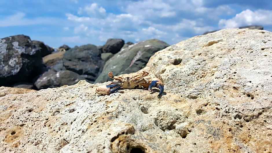 Marina Cape Vacation Complex