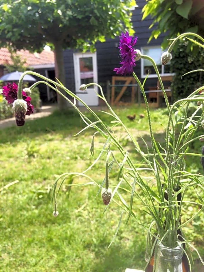 Bed & Breakfast Yerseke