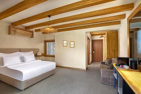 Deluxe Double or Twin Room with Pool Access