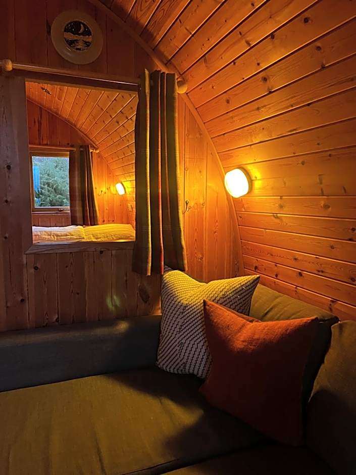 Stoneymollan over Loch Lomond