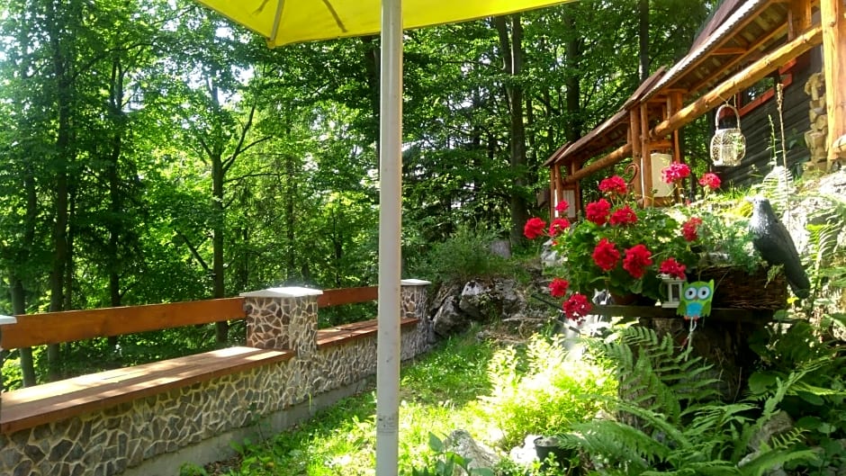 Chata u sovicky Malino Brdo