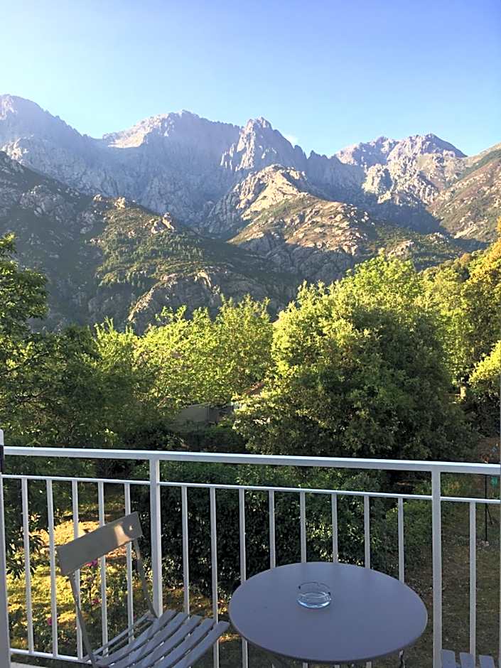 1er Consul SAS a Bussinca