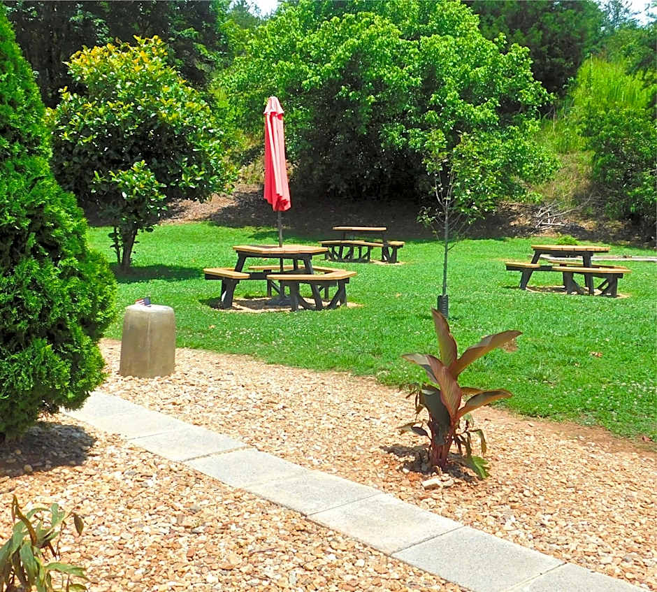 Quality Inn Jonesville