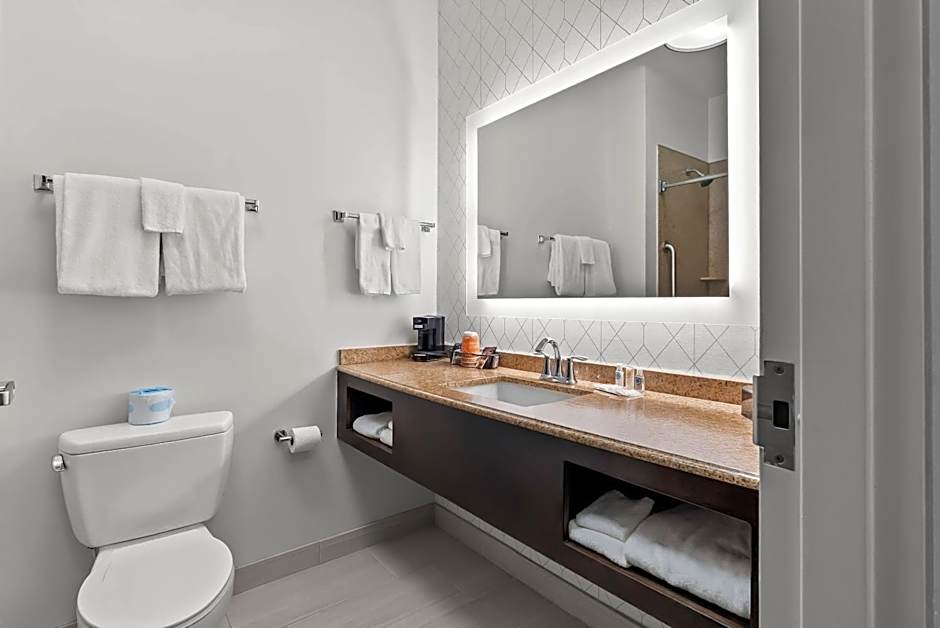 Comfort Suites Simpsonville - Greenville