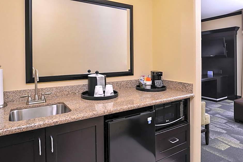 Hampton Inn By Hilton And Suites Big Spring