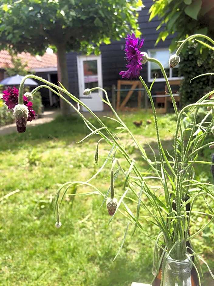 Bed & Breakfast Yerseke