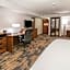 Fairfield Inn & Suites by Marriott Dallas Dfw Airport South/Irving