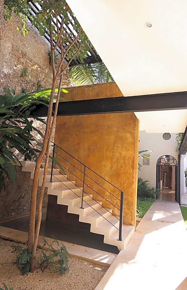 Casa de Las Palomas by Palomas Group