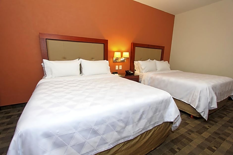 Holiday Inn Leon Plaza Mayor By IHG