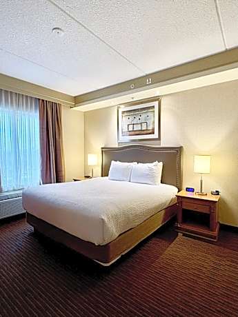 1 King Bed, 1-Bedroom, Business Suite, Non-Smoking