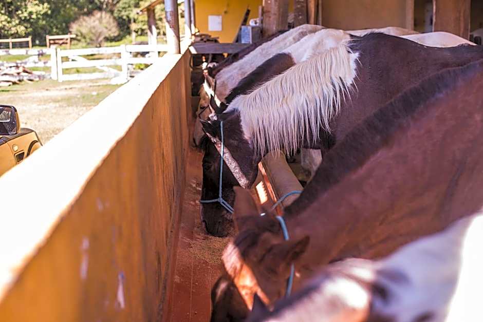 Pousada Fazenda Rio das Pedras