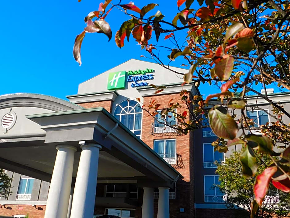Holiday Inn Express Hotel & Suites Millington-Memphis Area, an IHG Hotel