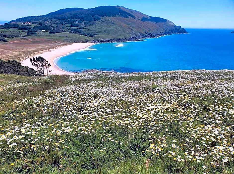 Rústico Prado da Viña