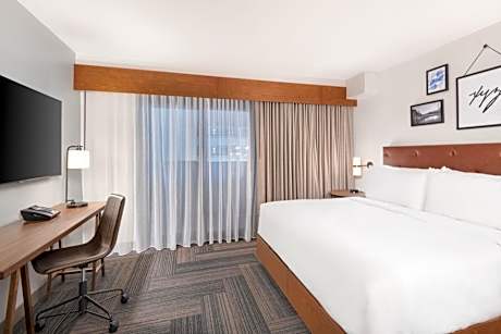 Suite, 1 King, Sofa bed