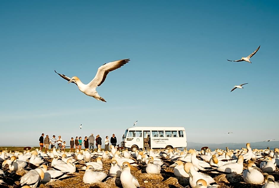 Scenic Hotel Te Pania