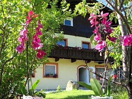 The Art & Sport Hotel