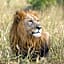 Sungulwane Private Game Lodge
