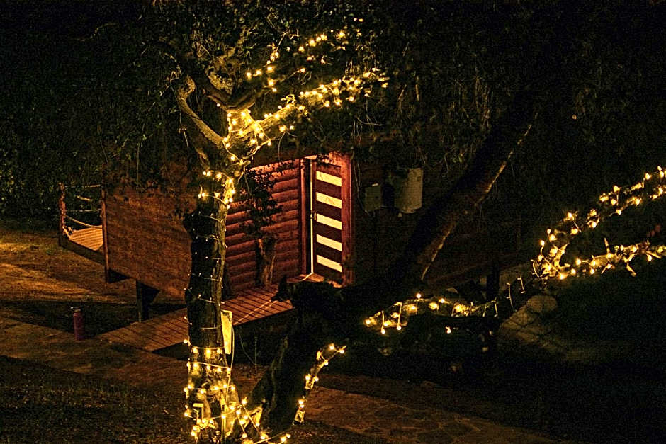 Boskenvid Hotel - Romantic Treehouses & Skypool