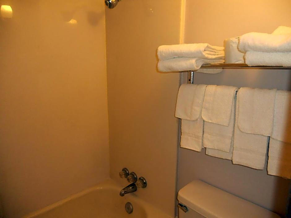 Rapids Inn And Suites