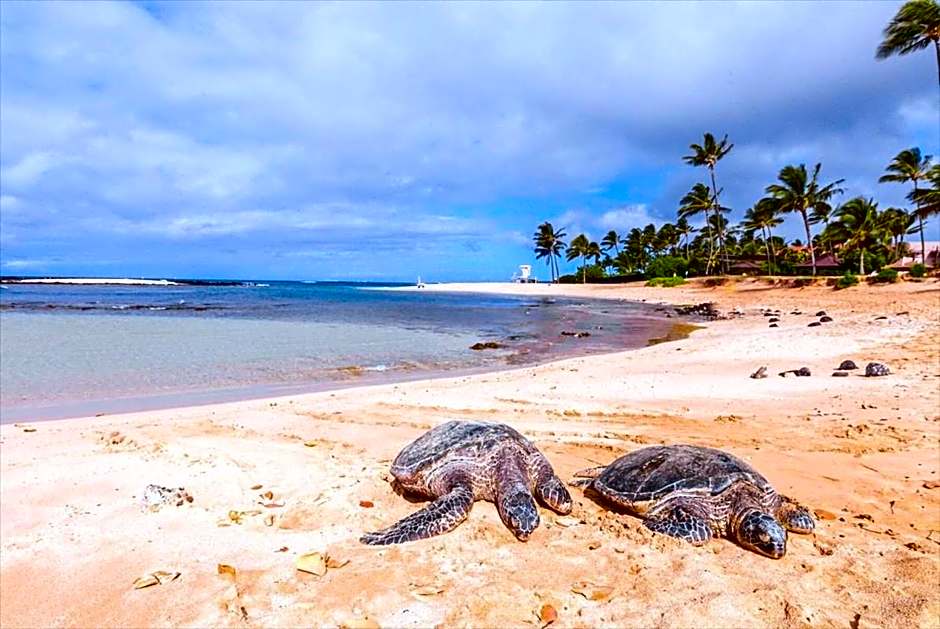 Kiahuna Plantation 96, Poipu Beach, Club Membership, Part Ocean View, Kids Toys