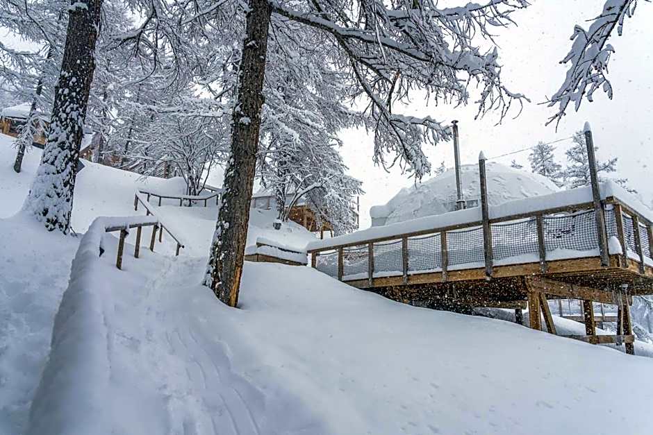 Alpin D'Hôme Hôtel & Spa