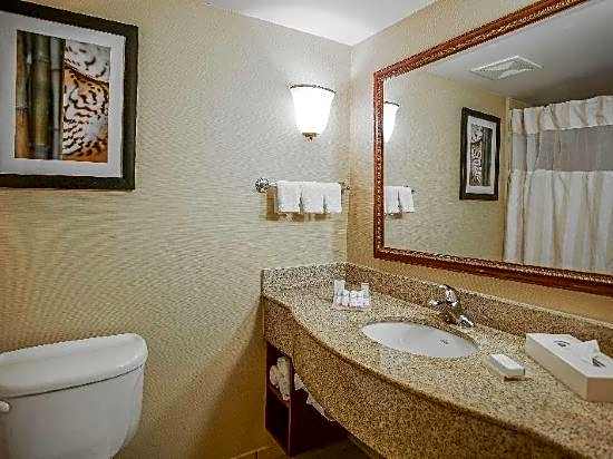 Wyndham Garden Kankakee
