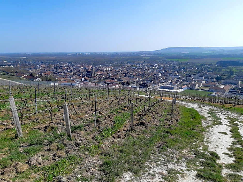 La Cour des Marotiers