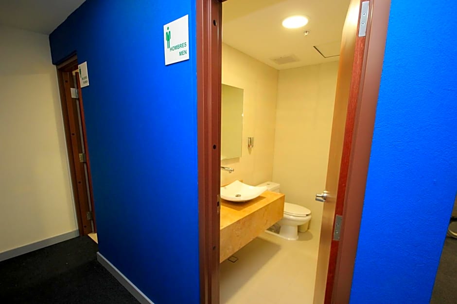 Holiday Inn Leon Plaza Mayor By IHG