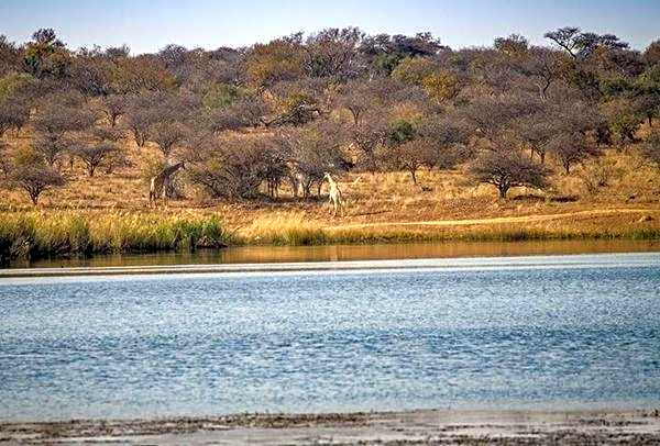Ritsako Game Lodge