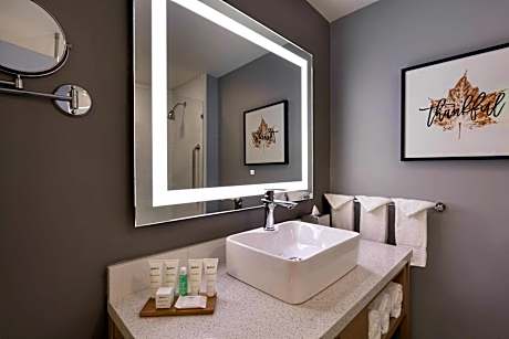 1 King Bed, Nonsmoking