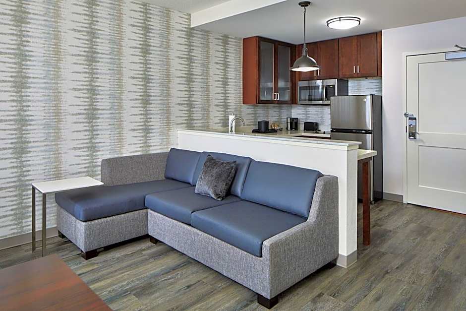 Residence Inn by Marriott Atlanta Perimeter Center/Dunwoody