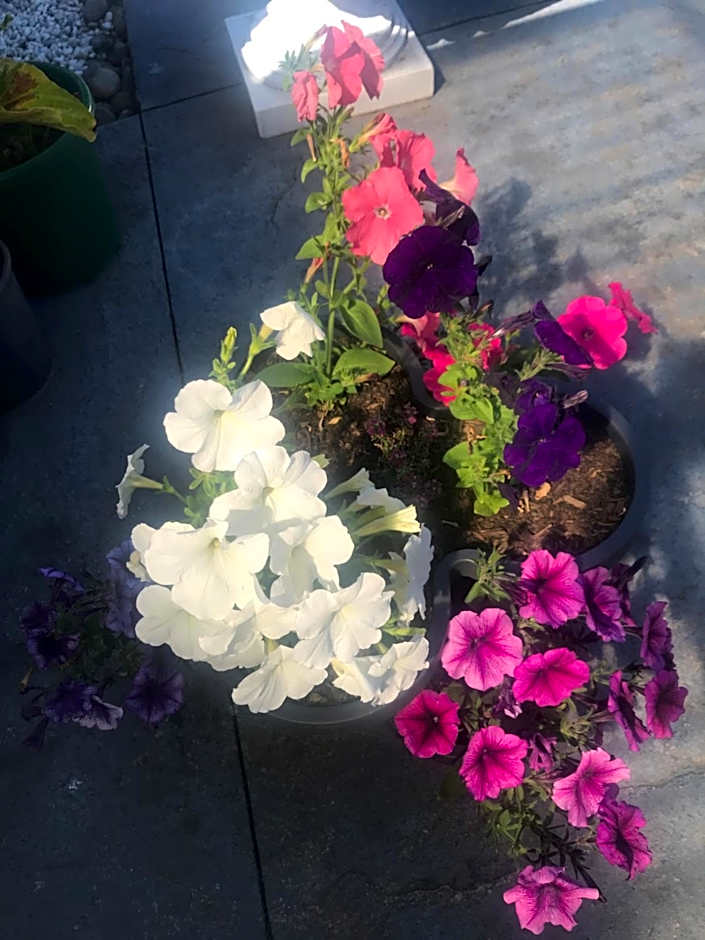 Newlands Bed and Breakfast