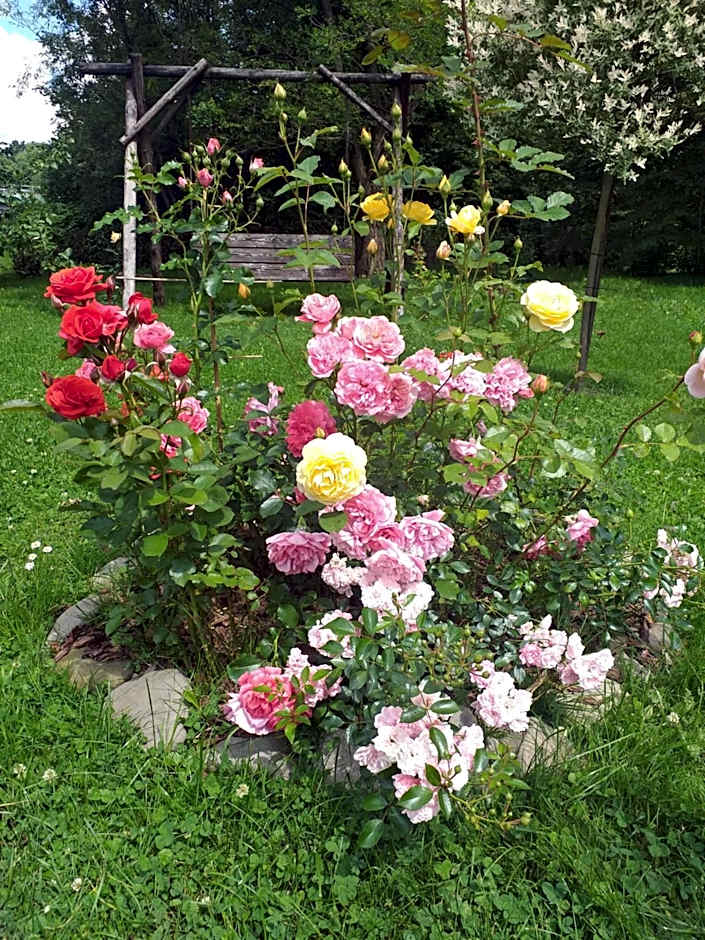 Zajazd Joniec Małgorzata