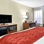 Comfort Inn & Suites Cincinnati Eastgate