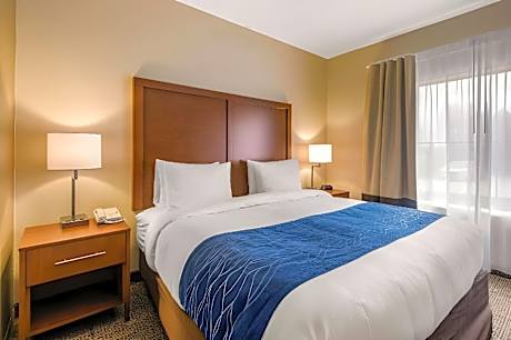 1 King Bed - Accessible/NonSmoking 