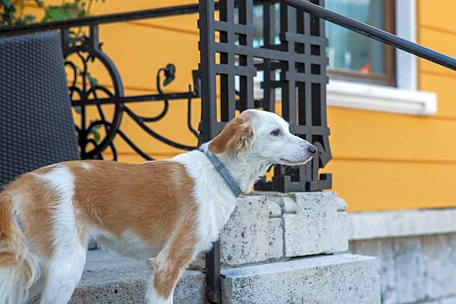 Hotel Villa Imperina