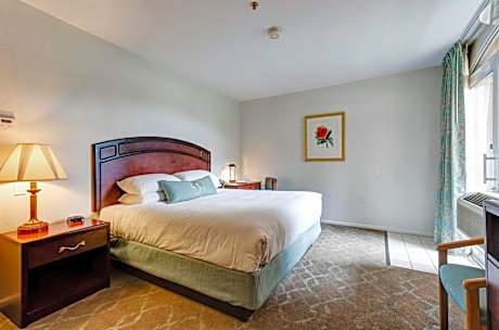 Standard King Accessible Room