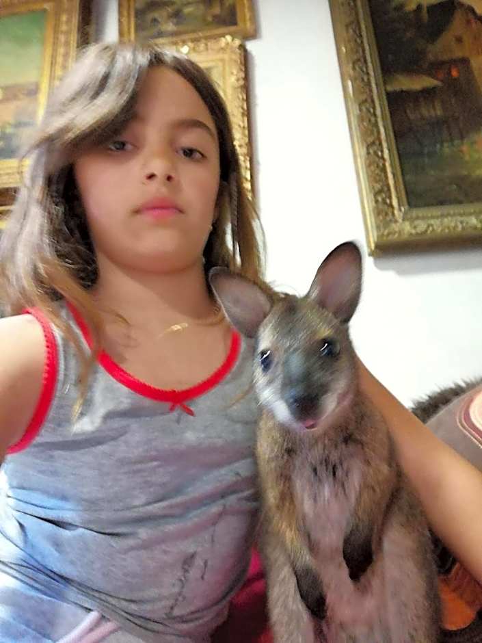 La Petite Ferme du Marais