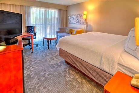 Room, 1 King Bed with Sofa bed (1 King Bed and 1 Double Sofa Bed)