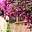 Casa Bougainvillea