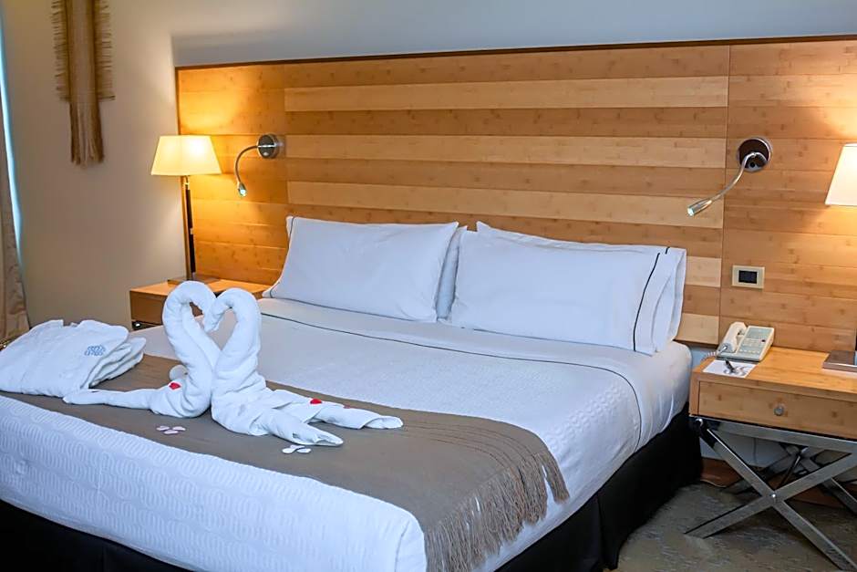 Sonesta Hotel Osorno