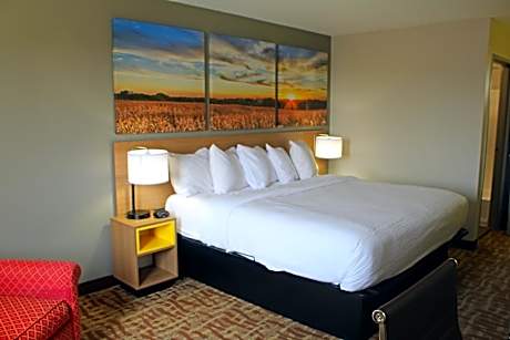 King Room - Disability Access - Non-Smoking
