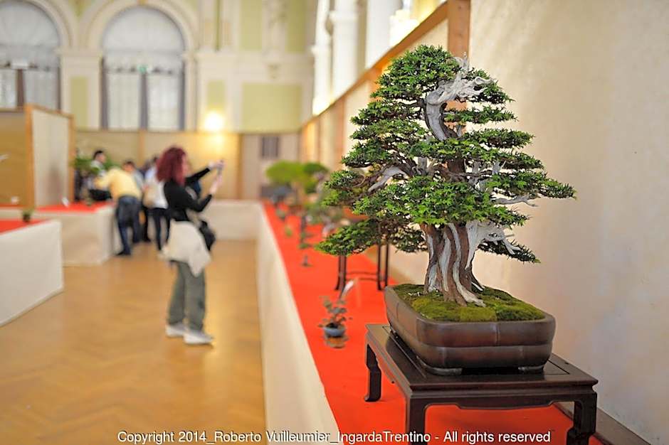 Albergo Ristorante Da Neni