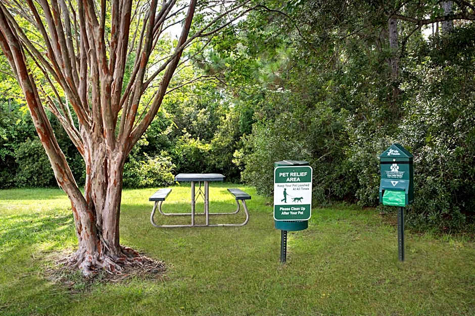 Hampton Inn By Hilton Panama City Beach