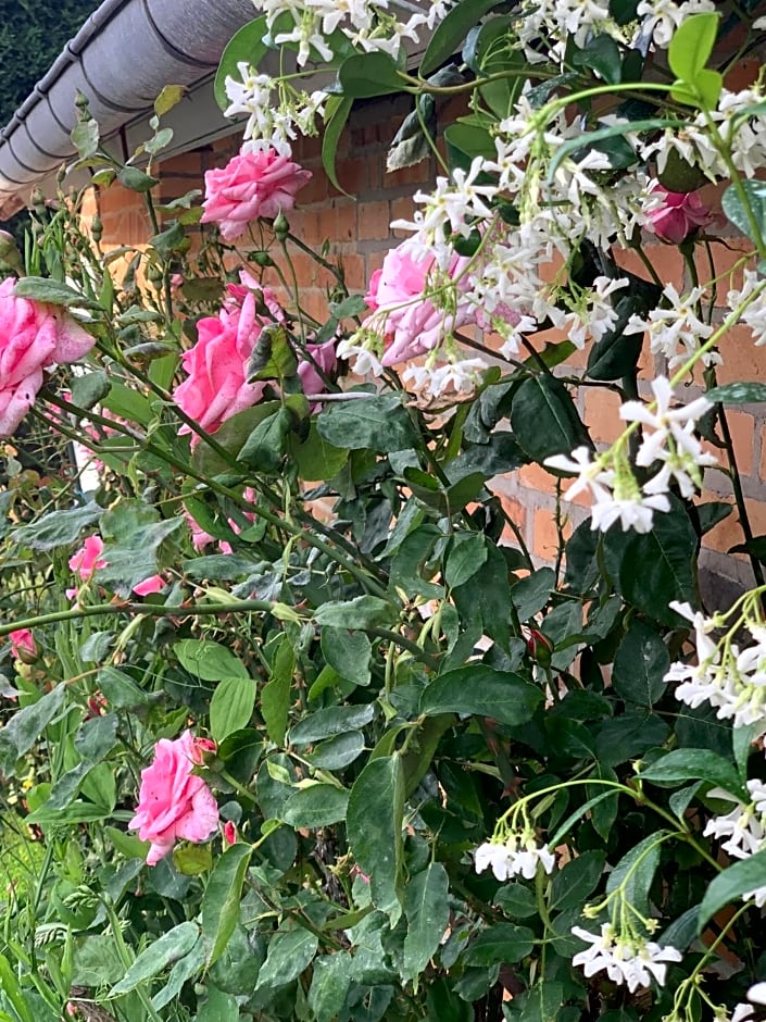 Les Garçonnières de Sologne