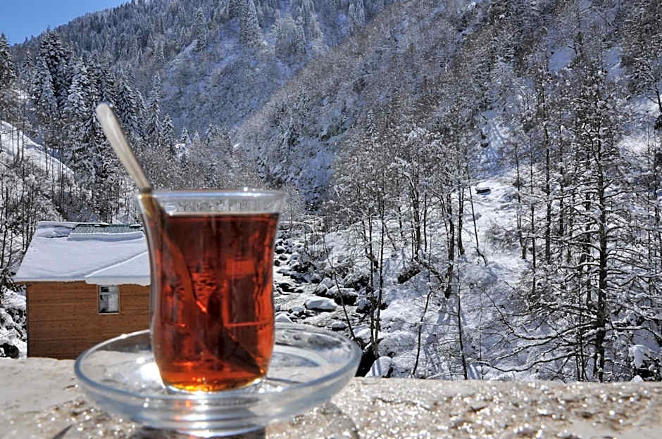 Ayder Hasimoglu Hotel