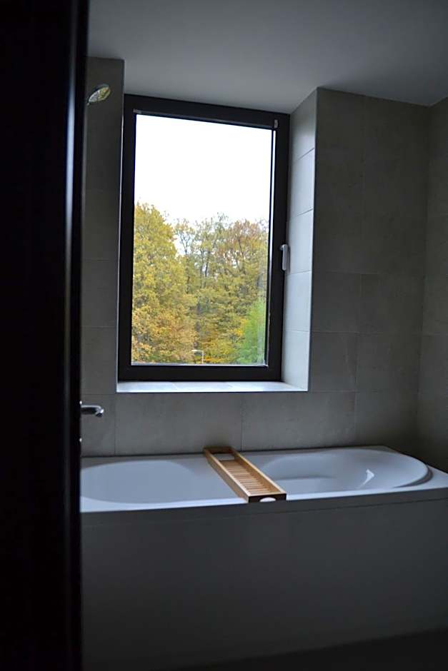 Mountain Nest in Silver Mountain Poiana Brasov