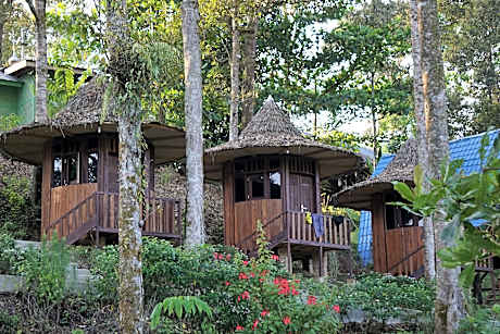 Eco Conservation Landak Luxury Tents