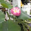 D Heart Homestay